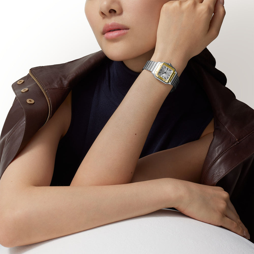 Cartier Santos - 36mm